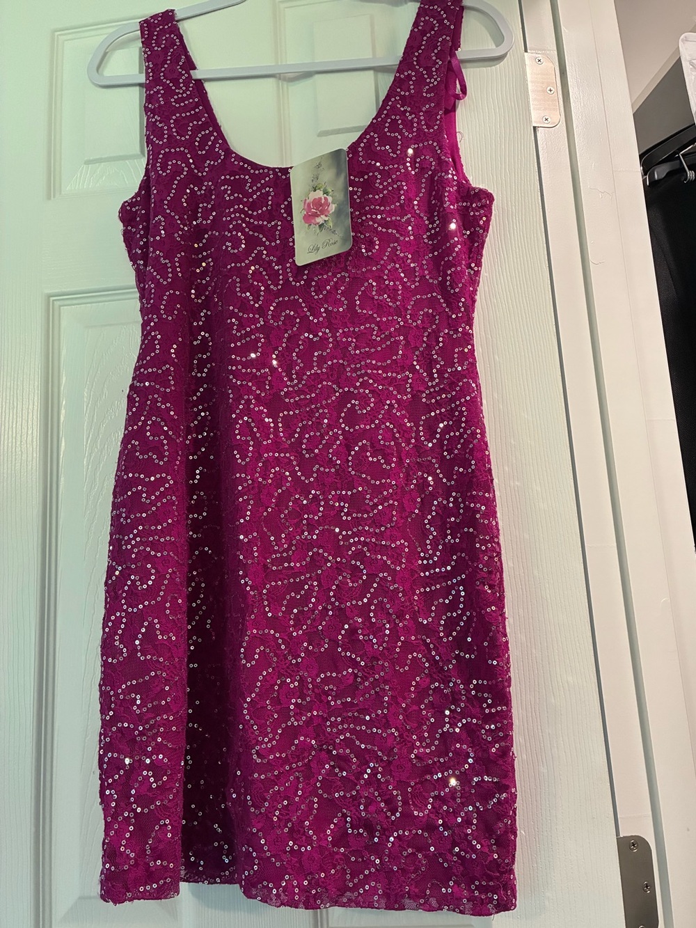 Lily Rose Sequin Tank Dress in Fuchsia
